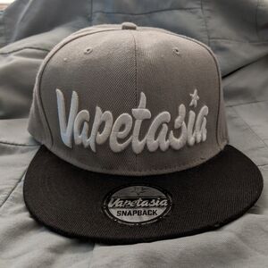 Vapetasia snapback